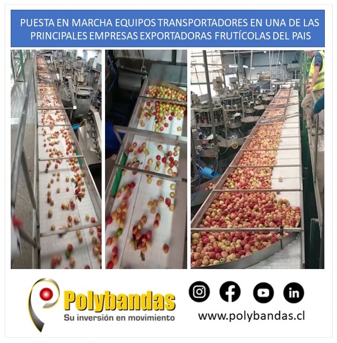 Puesta en marcha de equipos transportadores en una de las principales empresas exportadoras frutícolas del pais.